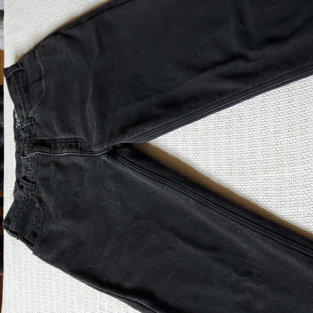 Eddie Bauer Denim Black Insulated Red Flannel High Rise Sz 34x34 Jeans w Pockets